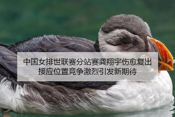 中国女排世联赛分站赛龚翔宇伤愈复出 接应位置竞争激烈引发新期待